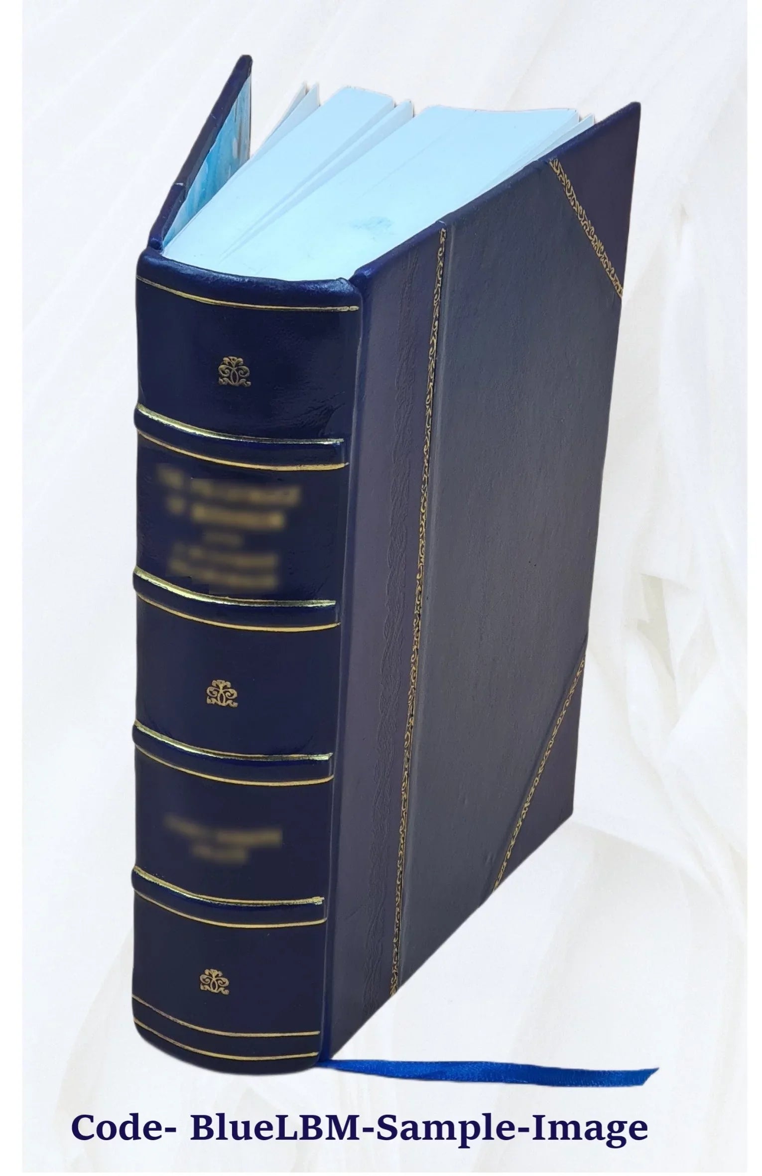 Proceedings of the General assemblies, Old and New school Presbyterian churches : convened in Sizet. Louis, May 17, 1866 1866 [Leather Bound]