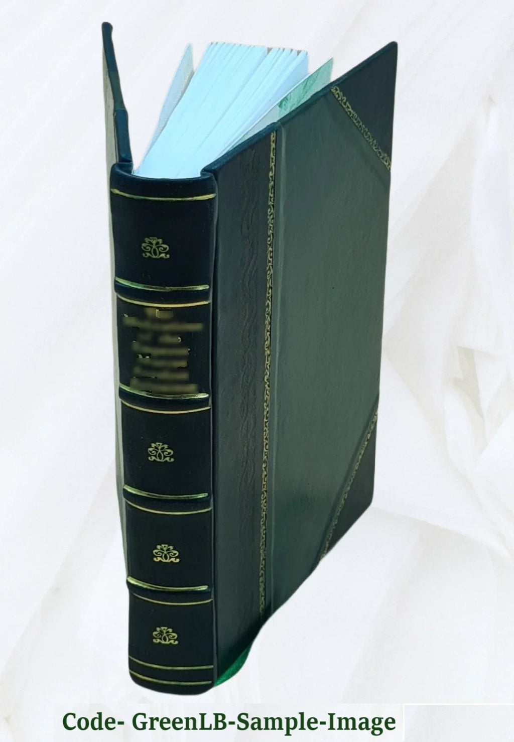 Pvb. Ovidii Nasonis Metamorphoseon libri XV : post omnes omnium editiones emendati, & recens cum scholiis in margine, ac breuissimis in singulas quasque fabulas argumentis illustra