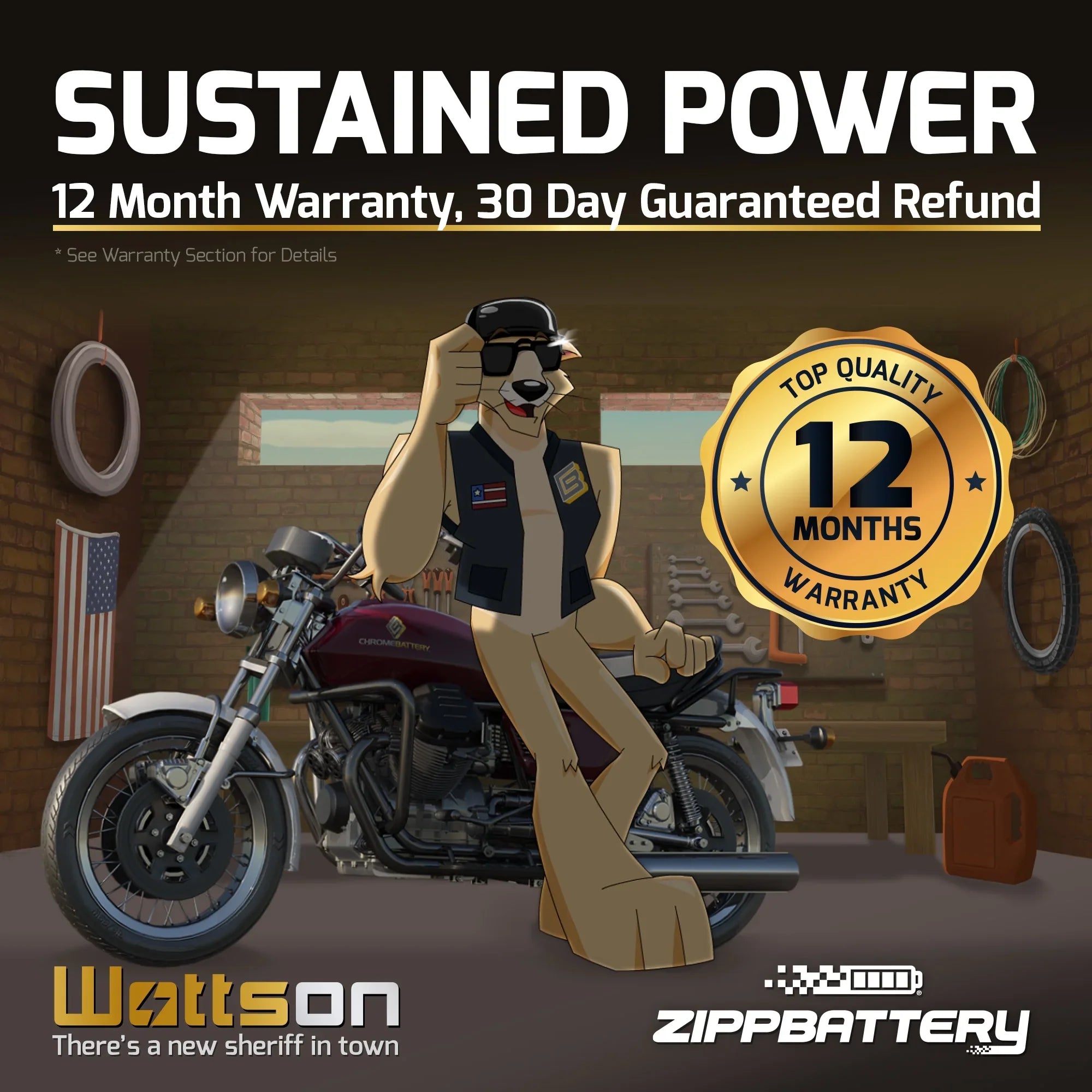 Zipp Battery Yb16cl-bs Jet Sizeki Battery for Polaris All Models All Cc All Years