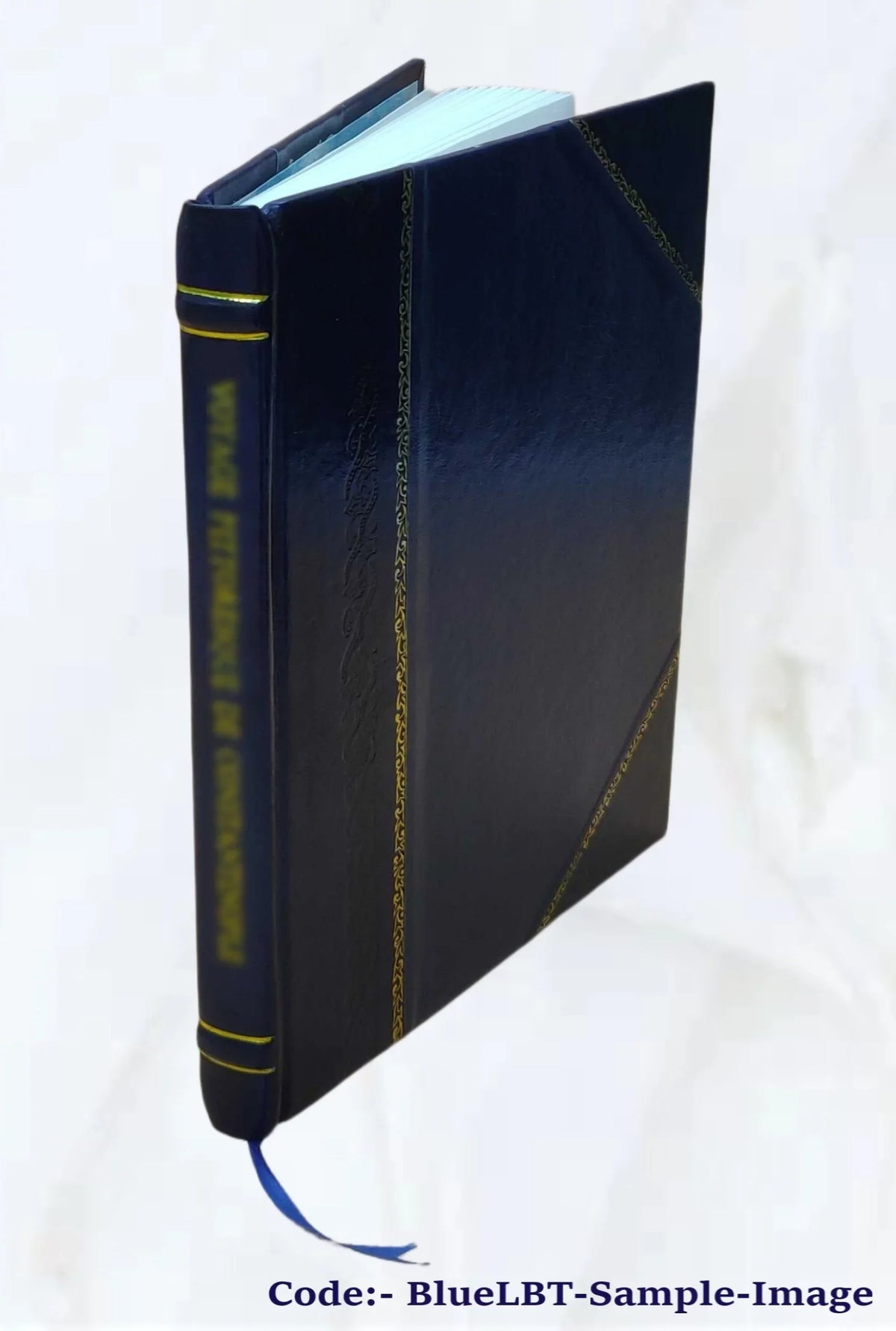 The theory of educational sloyd : the only authorized edition of the lectures of Otto Sizealomon. 1896 [Leather Bound]