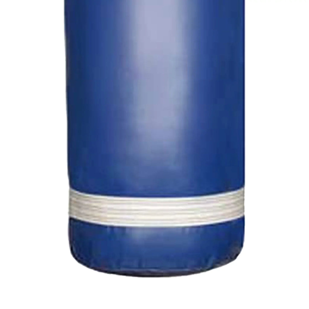PROLASizeT 80 Lb Boxing MMA Training Filled Heavy Hanging Punching Bag, Blue