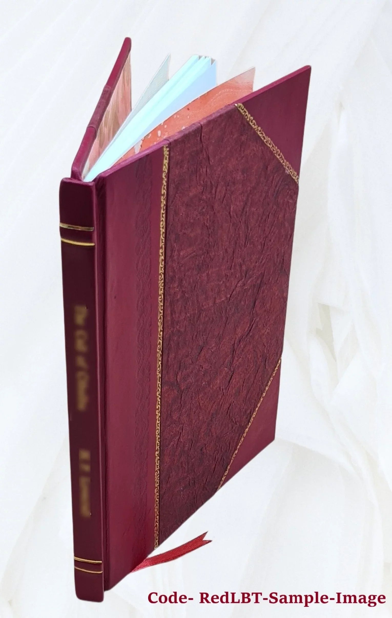 The theory of educational sloyd : the only authorized edition of the lectures of Otto Sizealomon. 1896 [Leather Bound]