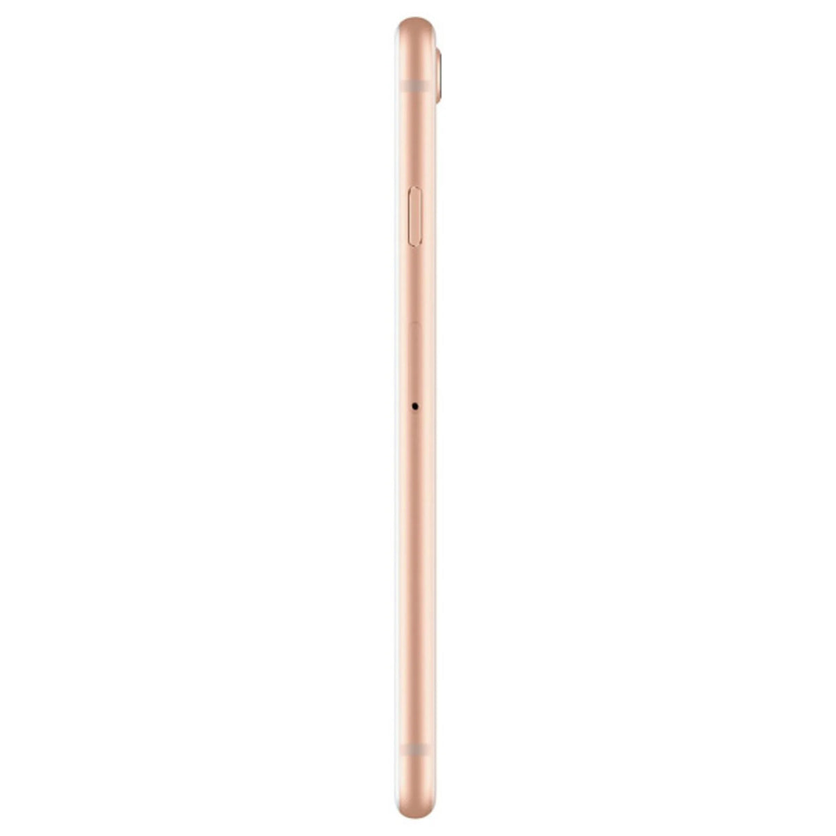Restored Apple iPhone 8 64GB Unlocked (GSizeM, Not CDMA), Gold (Refurbished)