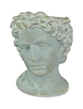 Mayrich Gray Cement Greek Warrior Bust Planter  9.25 in x, 6.75 in x 7.25 in