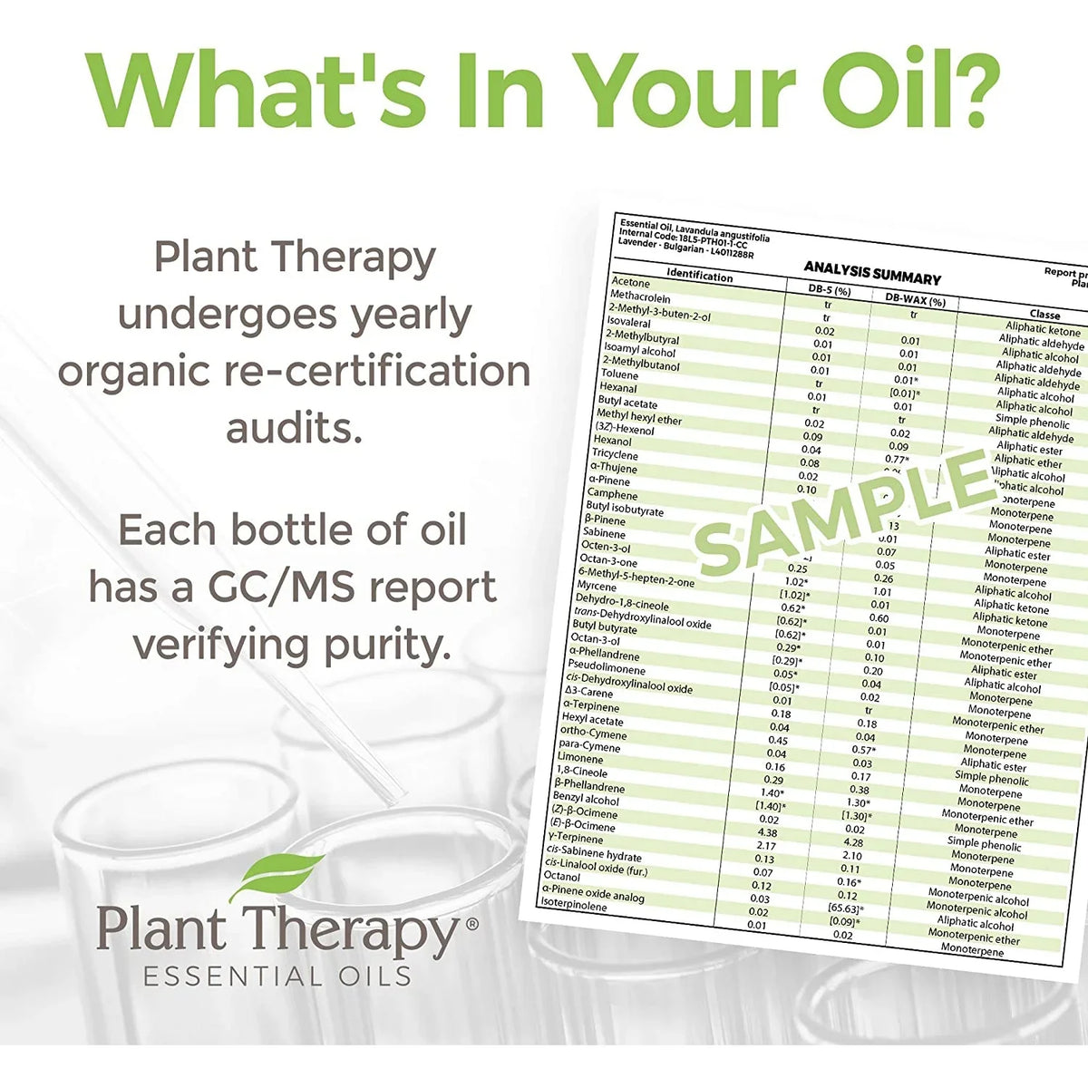 Plant Therapy KidSizeafe Nighty Night Essential Oil Blend for Sizeleep 30 mL (1 oz) 100% Pure, Undiluted, Natural Aromatherapy