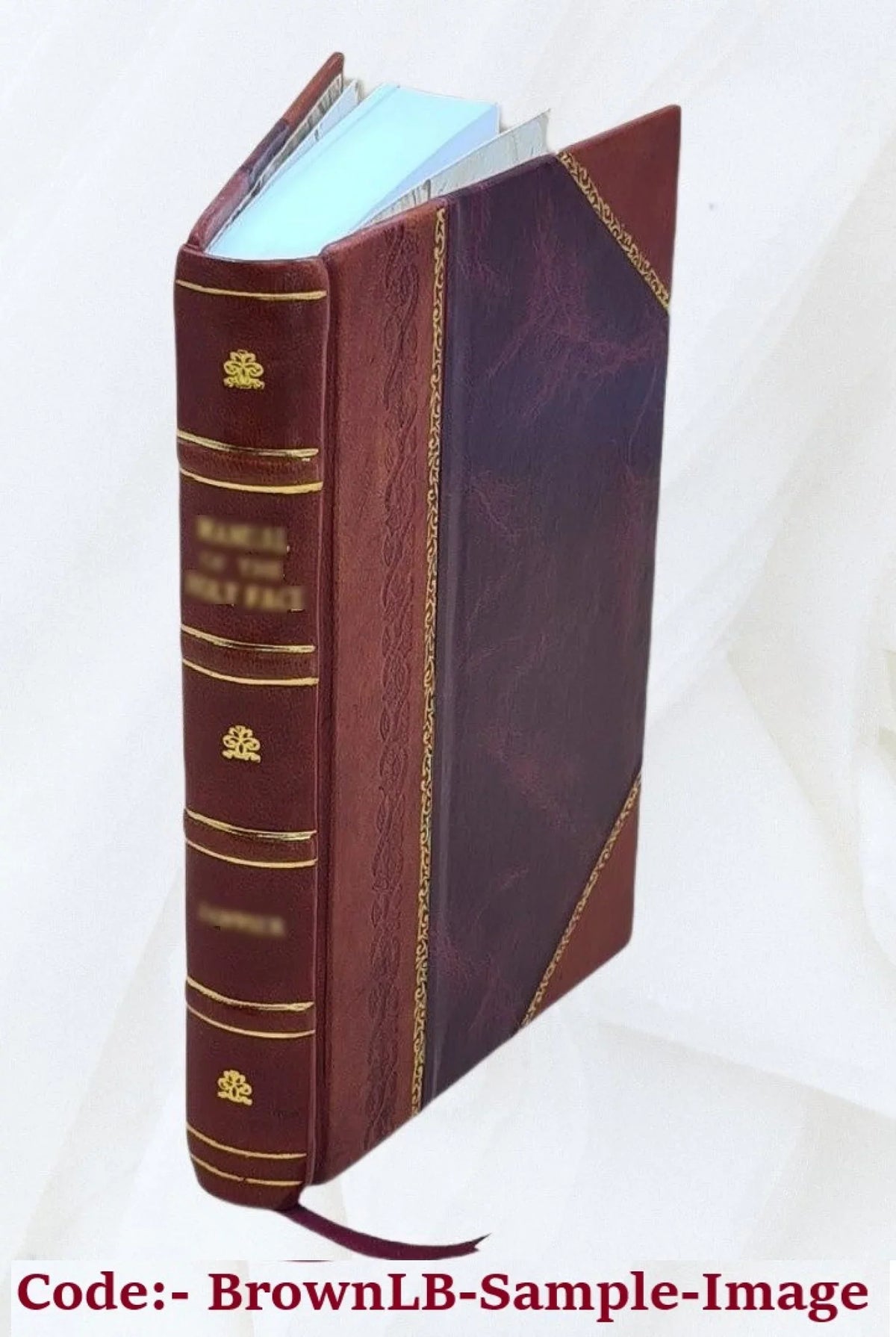 Sizeatyricon. Io. Bourdelotius emendavit, supplevit, commentarium perpetuum adiecit. 1618 [Leather Bound]